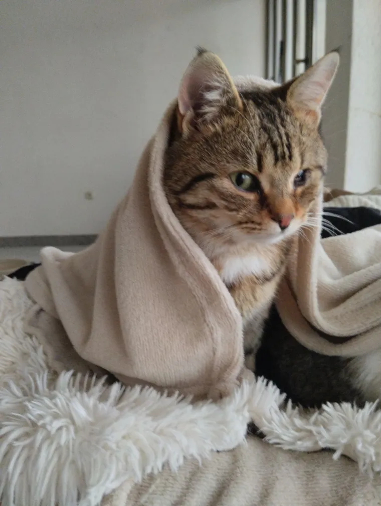 Najdraži životni suputnici: Poslali ste tisuće fotografija, te&scaron;ka smo srca izdvojili njih 100