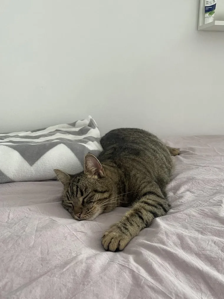 Najdraži životni suputnici: Poslali ste tisuće fotografija, te&scaron;ka smo srca izdvojili njih 100