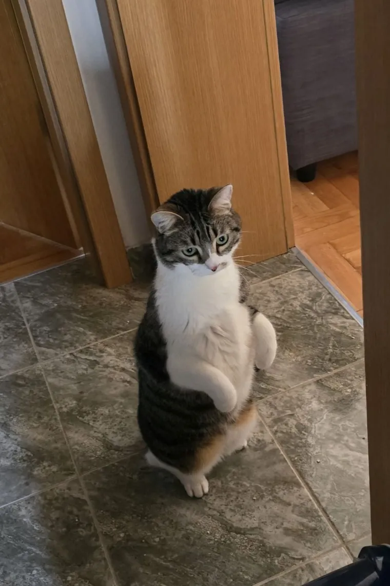 Najdraži životni suputnici: Poslali ste tisuće fotografija, te&scaron;ka smo srca izdvojili njih 100