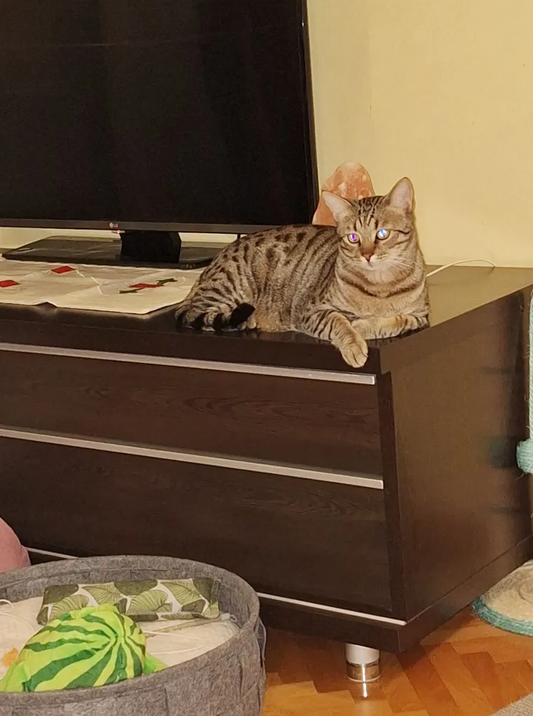 Najdraži životni suputnici: Poslali ste tisuće fotografija, te&scaron;ka smo srca izdvojili njih 100