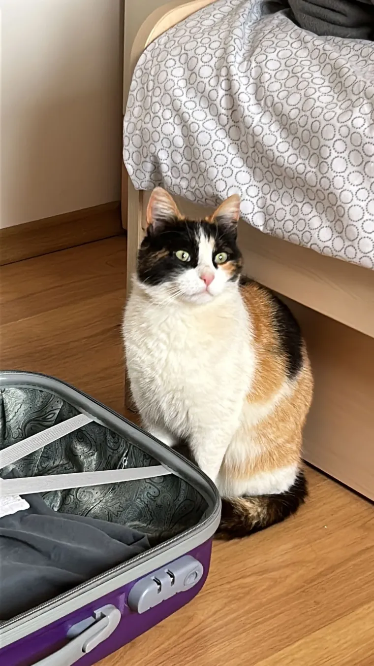 Najdraži životni suputnici: Poslali ste tisuće fotografija, te&scaron;ka smo srca izdvojili njih 100