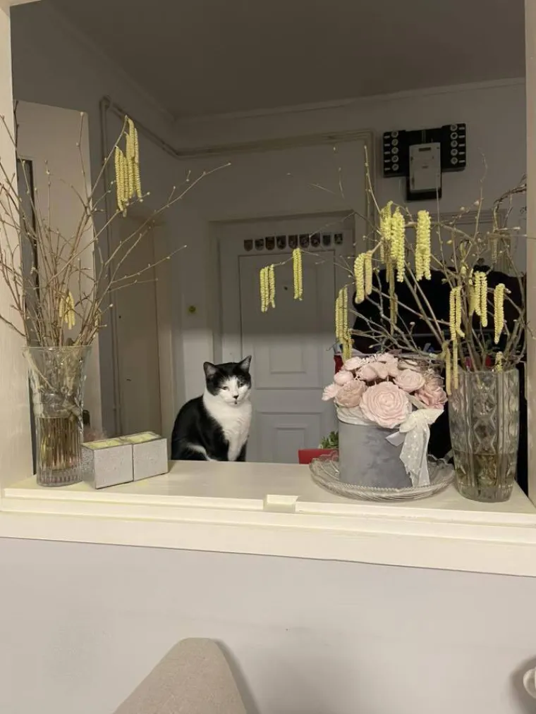 Najdraži životni suputnici: Poslali ste tisuće fotografija, te&scaron;ka smo srca izdvojili njih 100