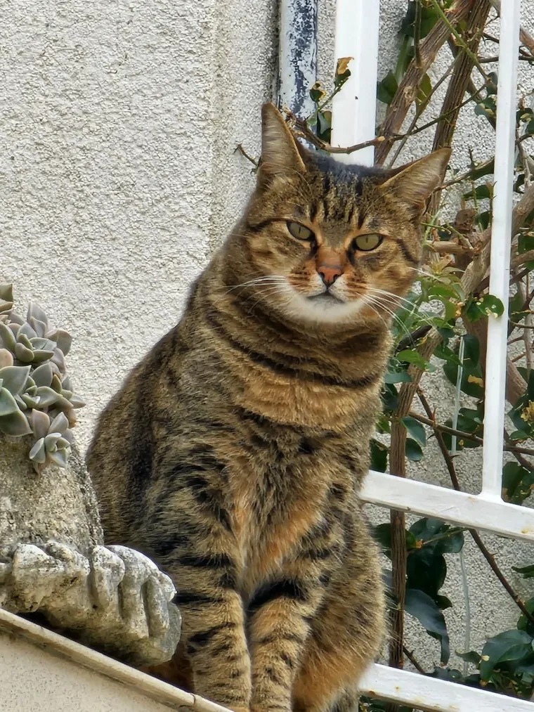 Najdraži životni suputnici: Poslali ste tisuće fotografija, te&scaron;ka smo srca izdvojili njih 100