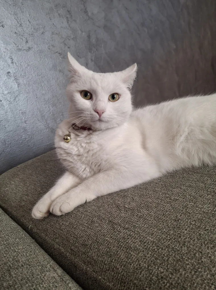 Najdraži životni suputnici: Poslali ste tisuće fotografija, te&scaron;ka smo srca izdvojili njih 100