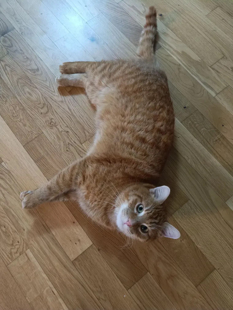 Najdraži životni suputnici: Poslali ste tisuće fotografija, te&scaron;ka smo srca izdvojili njih 100