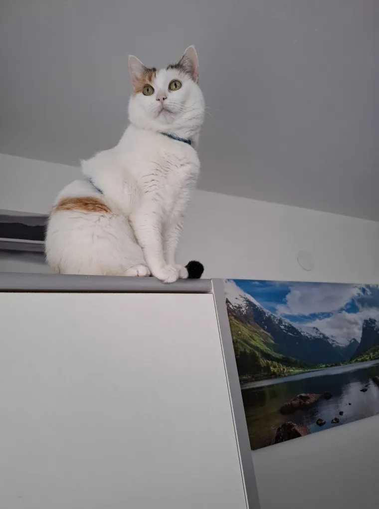 Najdraži životni suputnici: Poslali ste tisuće fotografija, te&scaron;ka smo srca izdvojili njih 100