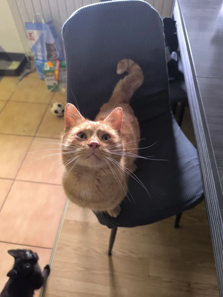 Najdraži životni suputnici: Poslali ste tisuće fotografija, te&scaron;ka smo srca izdvojili njih 100