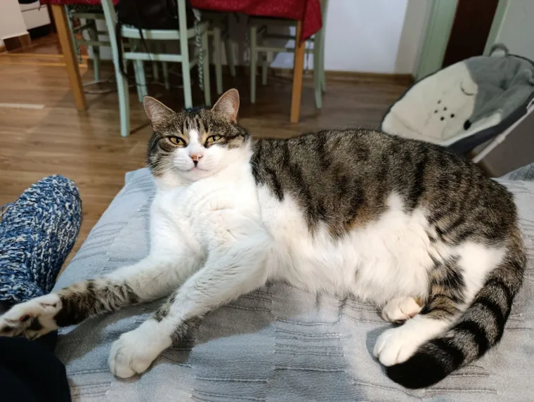 Najdraži životni suputnici: Poslali ste tisuće fotografija, te&scaron;ka smo srca izdvojili njih 100