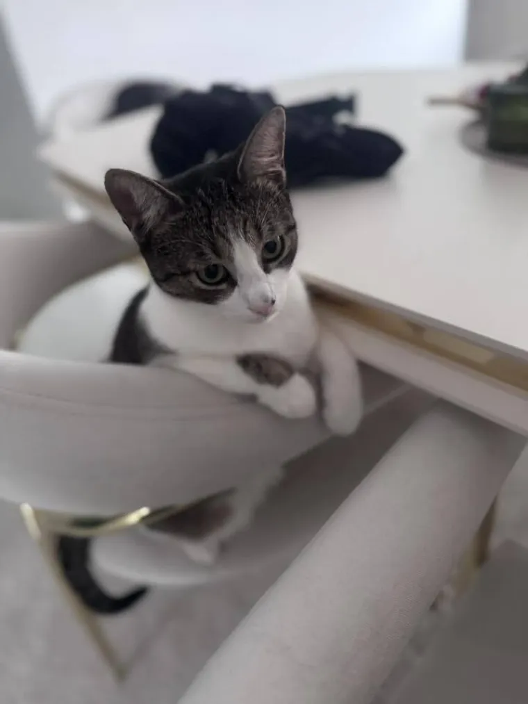 Najdraži životni suputnici: Poslali ste tisuće fotografija, te&scaron;ka smo srca izdvojili njih 100