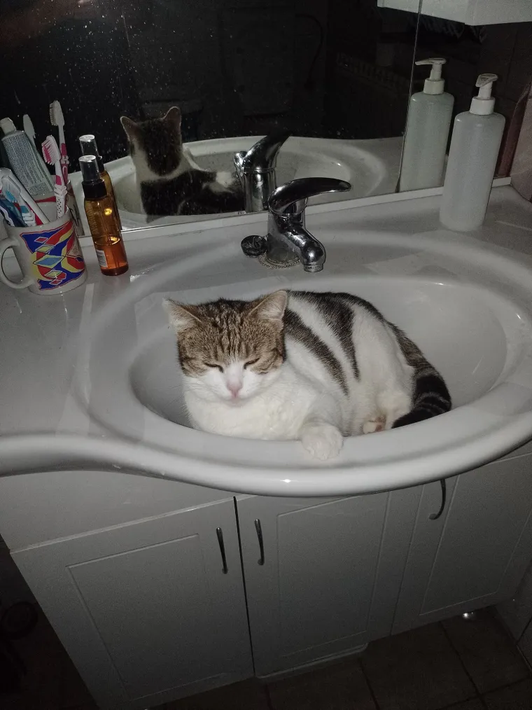 Najdraži životni suputnici: Poslali ste tisuće fotografija, te&scaron;ka smo srca izdvojili njih 100