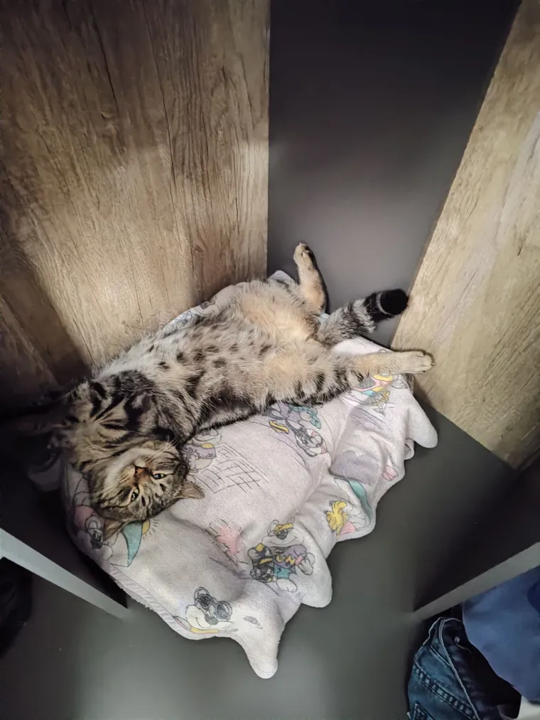 Najdraži životni suputnici: Poslali ste tisuće fotografija, te&scaron;ka smo srca izdvojili njih 100