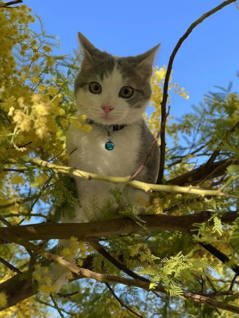 Najdraži životni suputnici: Poslali ste tisuće fotografija, te&scaron;ka smo srca izdvojili njih 100