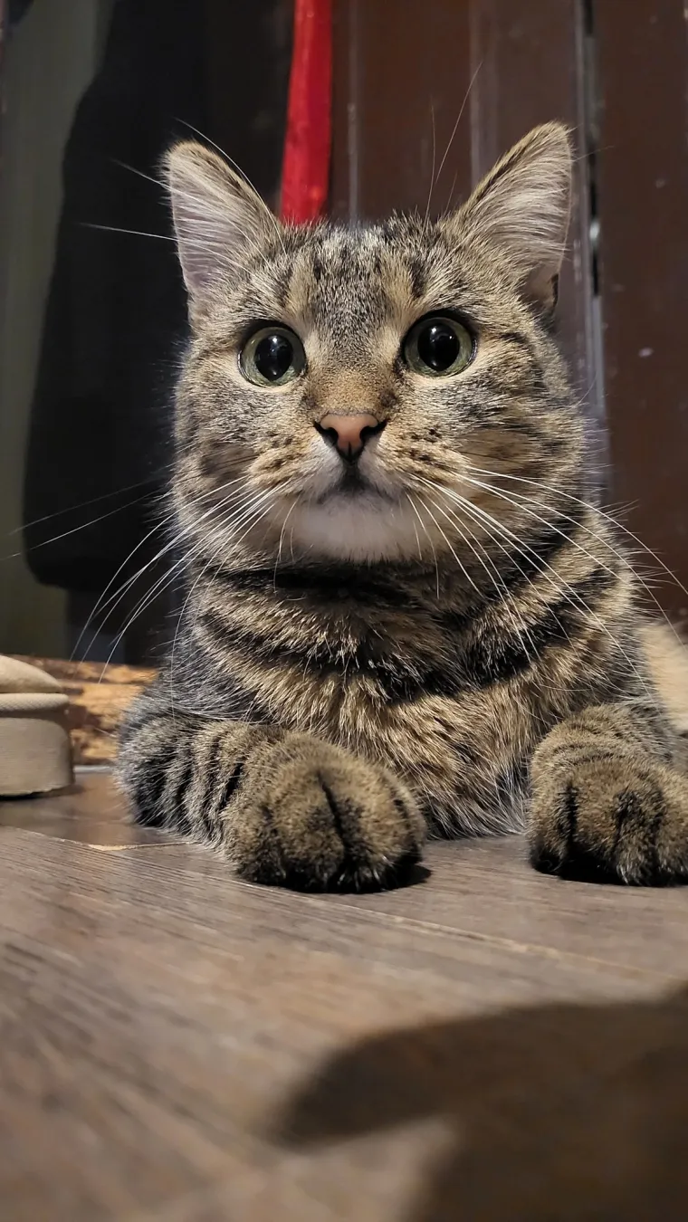 Najdraži životni suputnici: Poslali ste tisuće fotografija, te&scaron;ka smo srca izdvojili njih 100