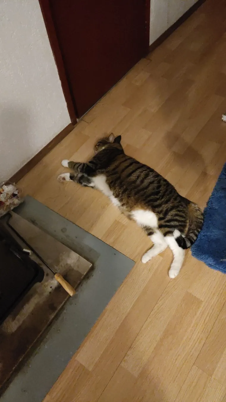 Najdraži životni suputnici: Poslali ste tisuće fotografija, te&scaron;ka smo srca izdvojili njih 100