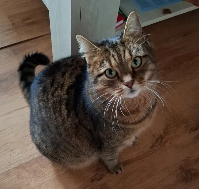 Najdraži životni suputnici: Poslali ste tisuće fotografija, te&scaron;ka smo srca izdvojili njih 100