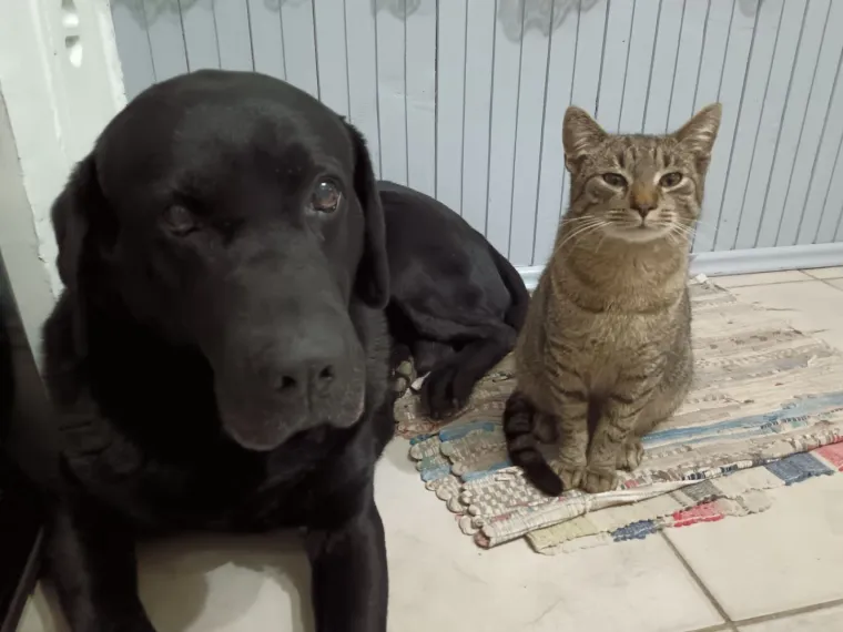 Najdraži životni suputnici: Poslali ste tisuće fotografija, te&scaron;ka smo srca izdvojili njih 100