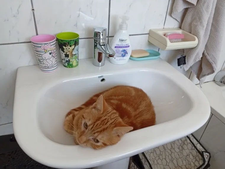 Najdraži životni suputnici: Poslali ste tisuće fotografija, te&scaron;ka smo srca izdvojili njih 100