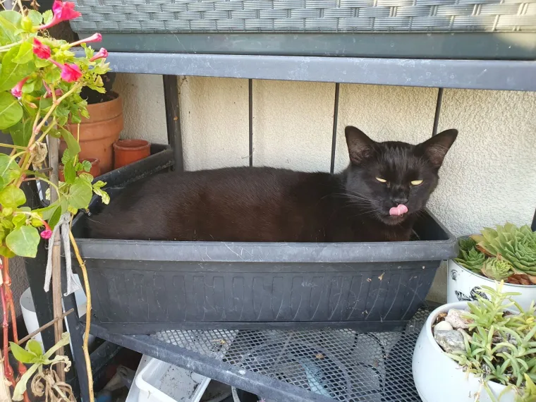 Najdraži životni suputnici: Poslali ste tisuće fotografija, te&scaron;ka smo srca izdvojili njih 100