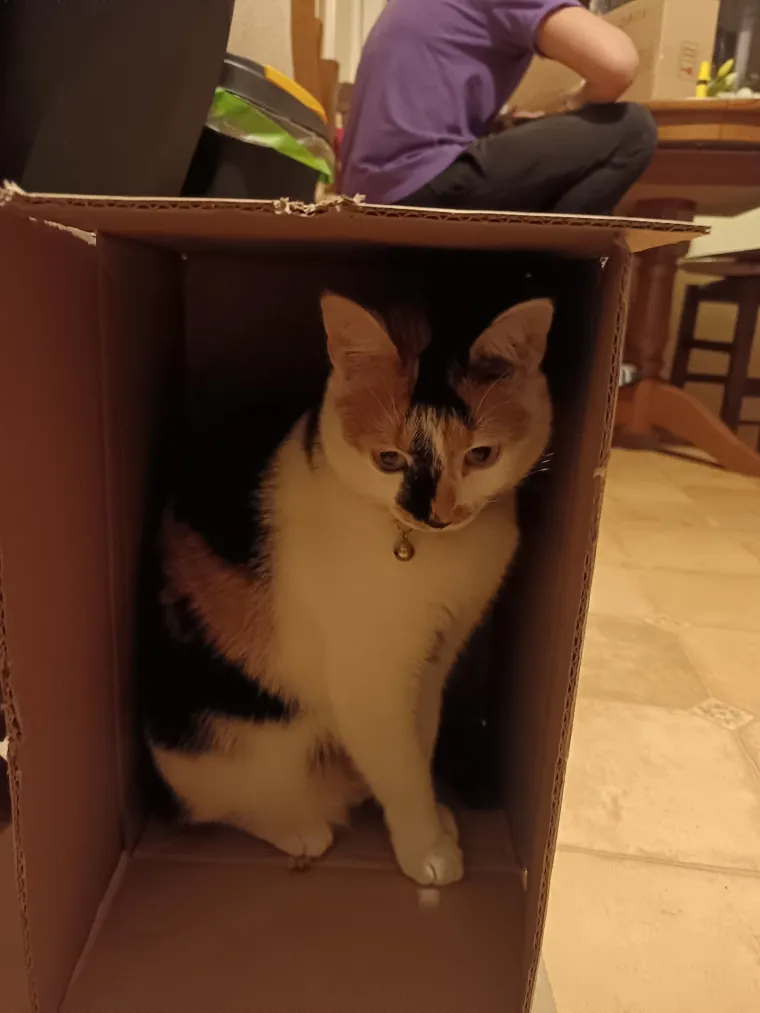 Najdraži životni suputnici: Poslali ste tisuće fotografija, te&scaron;ka smo srca izdvojili njih 100