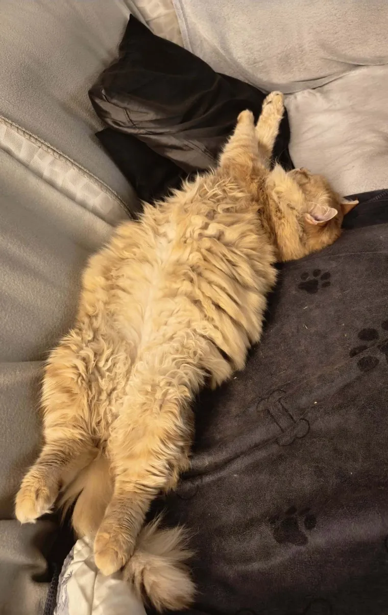 Najdraži životni suputnici: Poslali ste tisuće fotografija, te&scaron;ka smo srca izdvojili njih 100