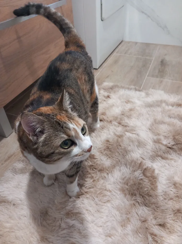 Najdraži životni suputnici: Poslali ste tisuće fotografija, te&scaron;ka smo srca izdvojili njih 100