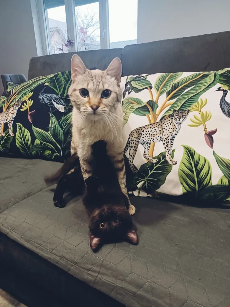 Najdraži životni suputnici: Poslali ste tisuće fotografija, te&scaron;ka smo srca izdvojili njih 100