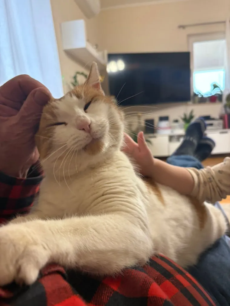 Najdraži životni suputnici: Poslali ste tisuće fotografija, te&scaron;ka smo srca izdvojili njih 100