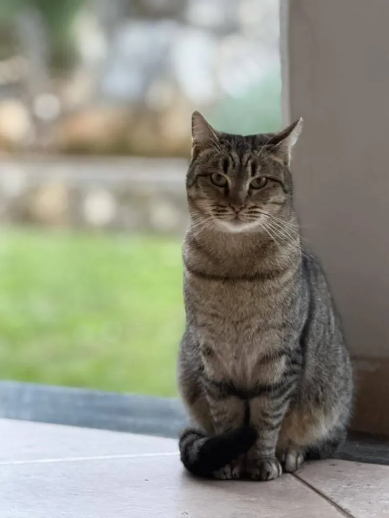 Najdraži životni suputnici: Poslali ste tisuće fotografija, te&scaron;ka smo srca izdvojili njih 100