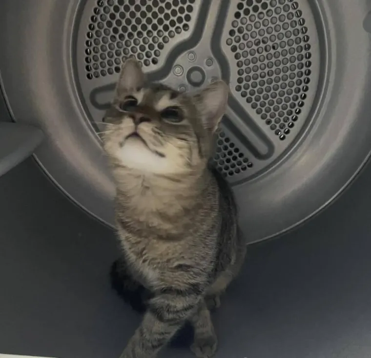 Najdraži životni suputnici: Poslali ste tisuće fotografija, te&scaron;ka smo srca izdvojili njih 100