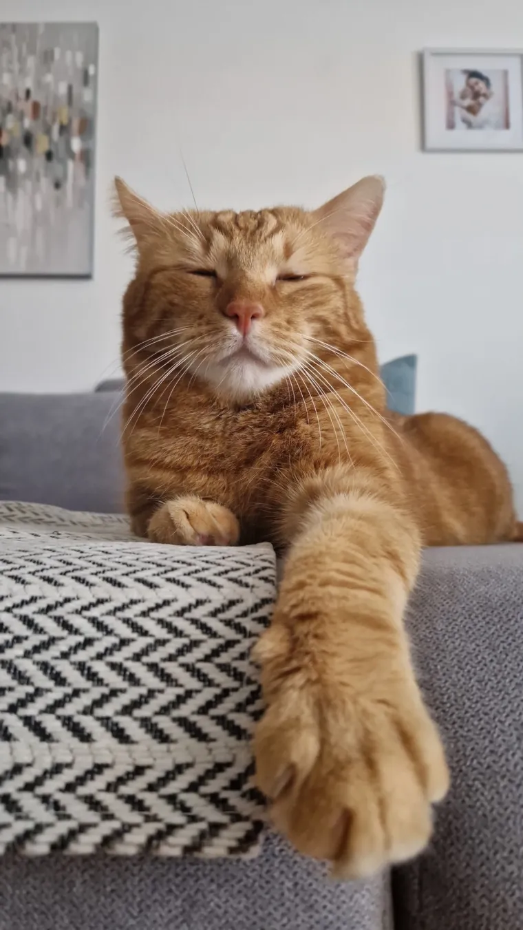 Najdraži životni suputnici: Poslali ste tisuće fotografija, te&scaron;ka smo srca izdvojili njih 100