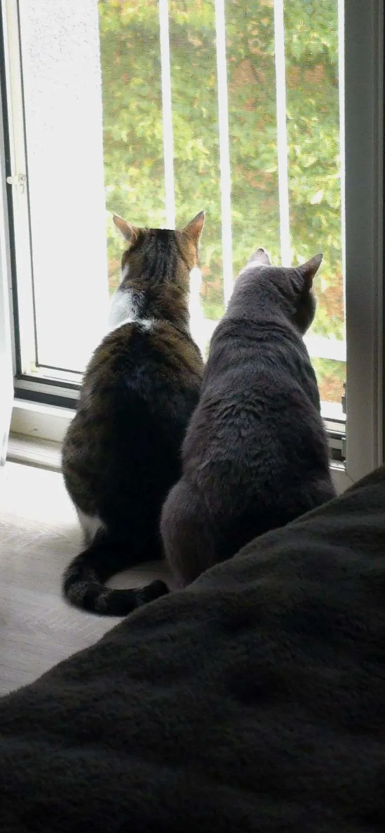 Najdraži životni suputnici: Poslali ste tisuće fotografija, te&scaron;ka smo srca izdvojili njih 100