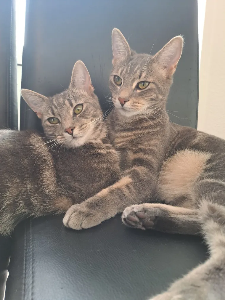 Najdraži životni suputnici: Poslali ste tisuće fotografija, te&scaron;ka smo srca izdvojili njih 100