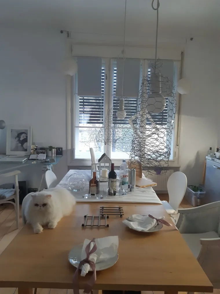 Poslali ste nam fotografije va&scaron;ih mačaka i opisali po čemu su posebne. Donosimo 30 slatkih vragolana