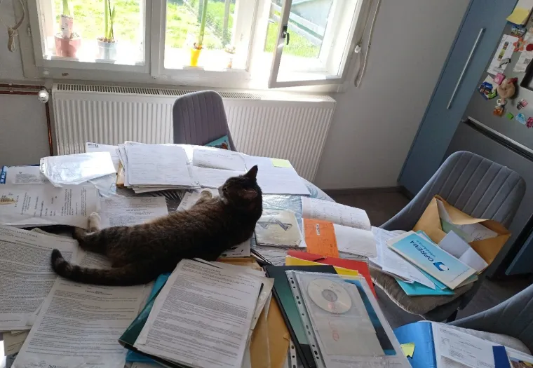 Poslali ste nam fotografije va&scaron;ih mačaka i opisali po čemu su posebne. Donosimo 30 slatkih vragolana