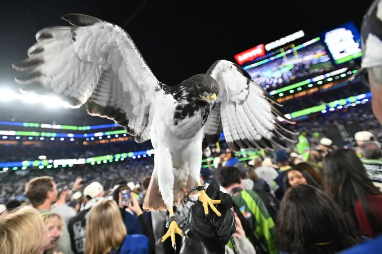 Neželjeni gost uni&scaron;tio Super Bowl! Pogledajte scene koje se nisu mogle vidjeti na TV-u