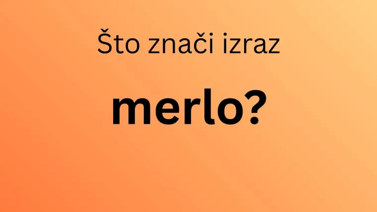 Najteži kviz hrvatskih izraza: Ni rođeni Dalmatinci neće lako imati sve točno