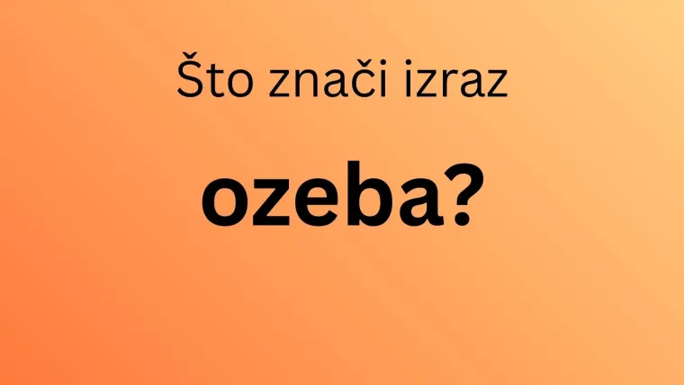 Najteži kviz hrvatskih izraza: Ni rođeni Dalmatinci neće lako imati sve točno