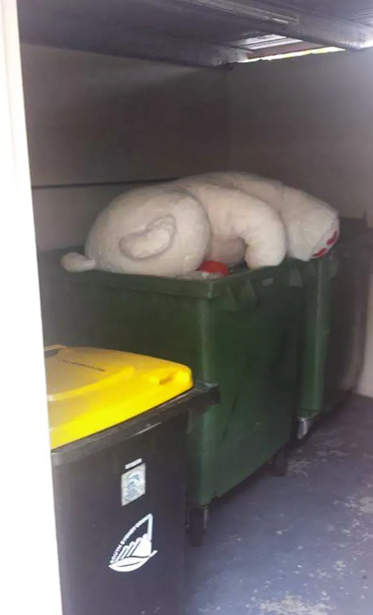 Planirali su savr&scaron;eno Valentinovo, a zavr&scaron;ilo im je katastrofom: Nevjerojatno &scaron;to im se dogodilo