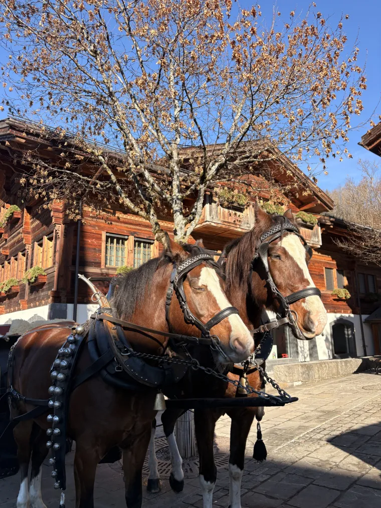 Da&scaron;ak &Scaron;vicarske kroz objektiv Hrvatice: Prizori Alpa, jezera i gradova kakve jo&scaron; niste vidjeli