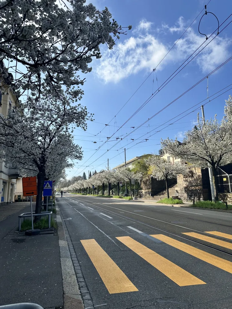 Da&scaron;ak &Scaron;vicarske kroz objektiv Hrvatice: Prizori Alpa, jezera i gradova kakve jo&scaron; niste vidjeli