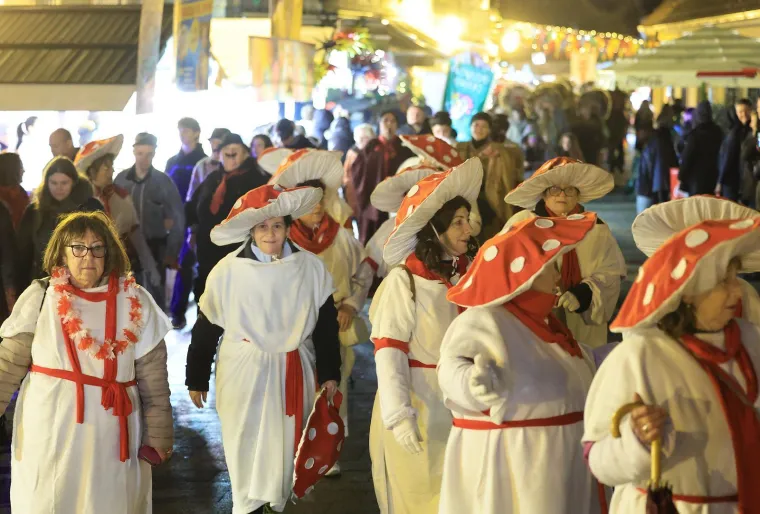 'Valentinovo pod maskama': Tajanstvena plavu&scaron;a ukrala svu pažnju na karnevalskoj zabavi