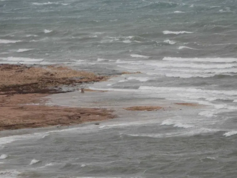 Bura zaustavila auto i potrgala haubu, pogledajte nevjerojatne prizore: 'Zaustavio sam se i ponudio pomoć'