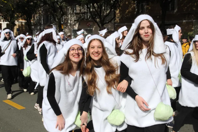 Vilenjaci, vje&scaron;tice, Trump i Toma&scaron;ević: Pogledajte tko se sve priključio karnevalskoj zabavi