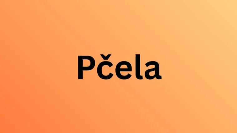 Te&scaron;ko je imati sve točne odgovore na pitanjima s međimurskim izrazima: Možete li vi?