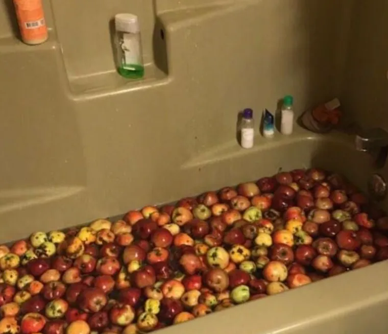 Žene podijelile najčudnije stvari u kupaonicama svojih partnera: Neke su zaista zabrinjavajuće