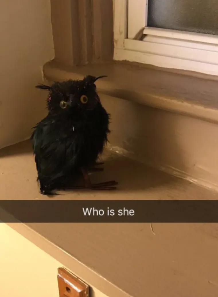 Žene podijelile najčudnije stvari u kupaonicama svojih partnera: Neke su zaista zabrinjavajuće