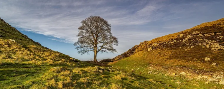 Čuda koja vi&scaron;e ne možemo vidjeti: Vrijeme ili ljudska ruka izbrisala su ova remek-djela prirode
