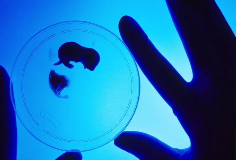 Izazvali su skandale: Ovo su najpoznatiji kontroverzni znanstveni eksperimenti u povijesti