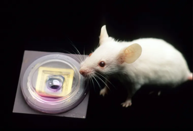 Izazvali su skandale: Ovo su najpoznatiji kontroverzni znanstveni eksperimenti u povijesti