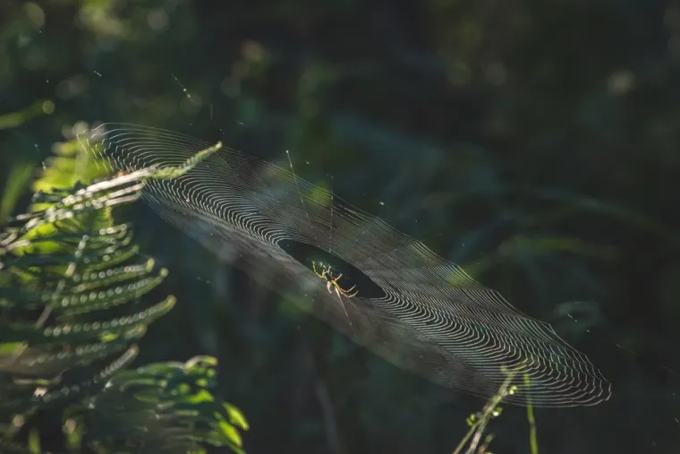 Izazvali su skandale: Ovo su najpoznatiji kontroverzni znanstveni eksperimenti u povijesti